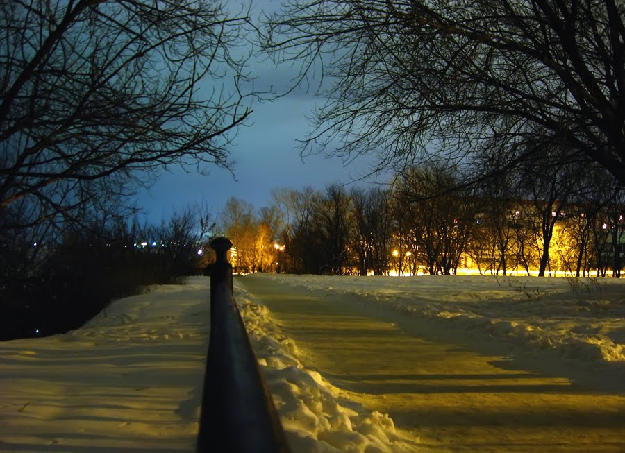 Зимняя дорожка
