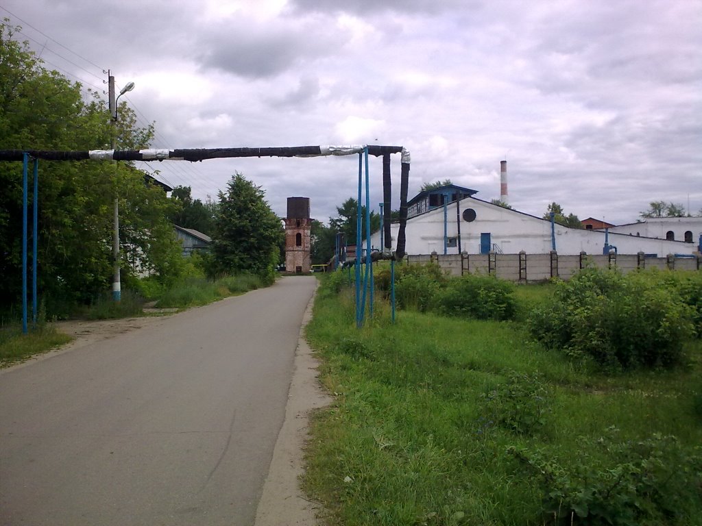 Первомайск, улица