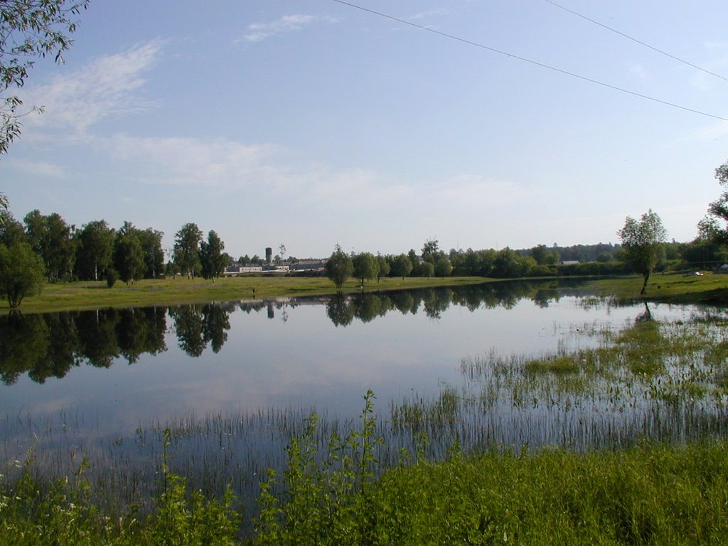 Ленинский пруд