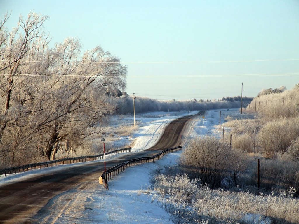Дорога / Road