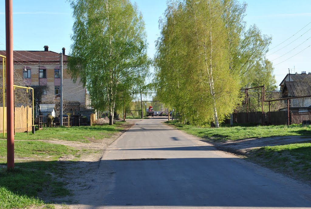 Пильна. Колхозная улица