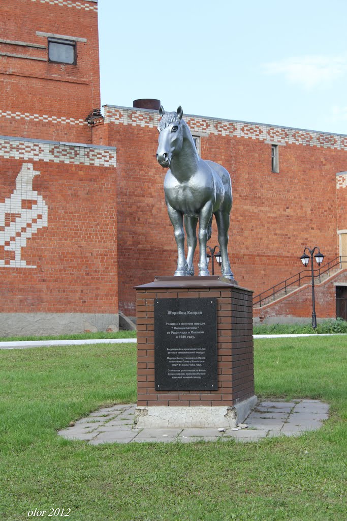 Капрал