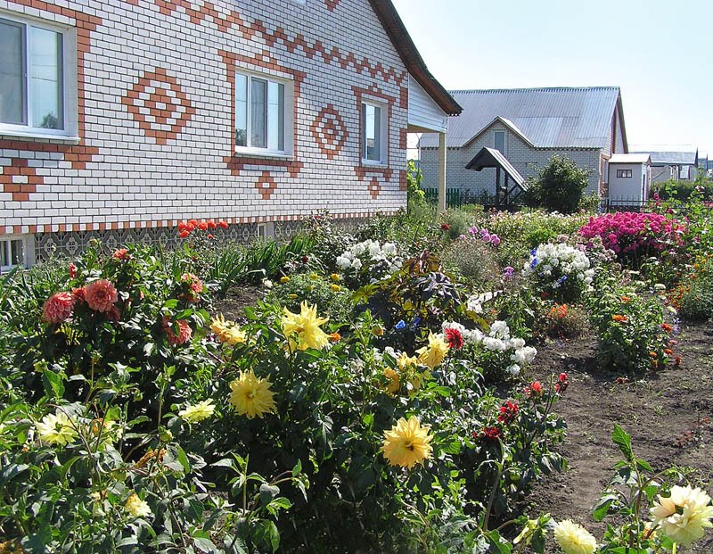Сельский дом (Village house)