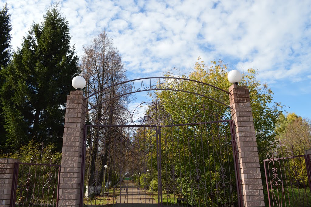 Pizhma