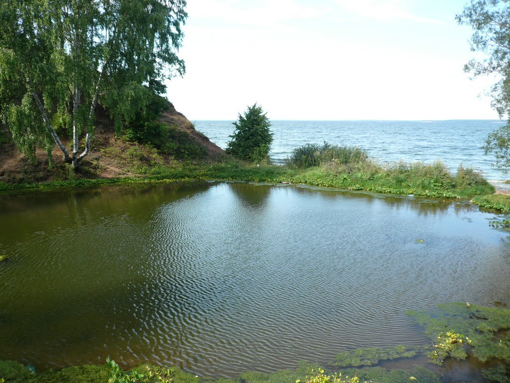 За родником.