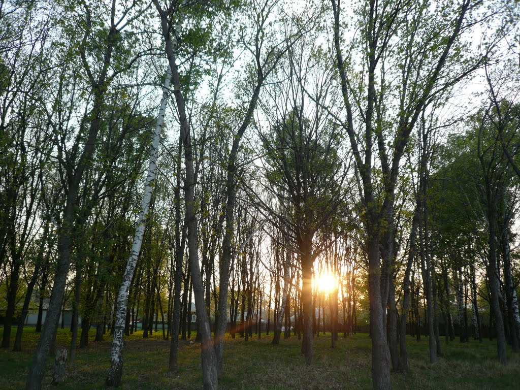 Закат в Пановском саду.