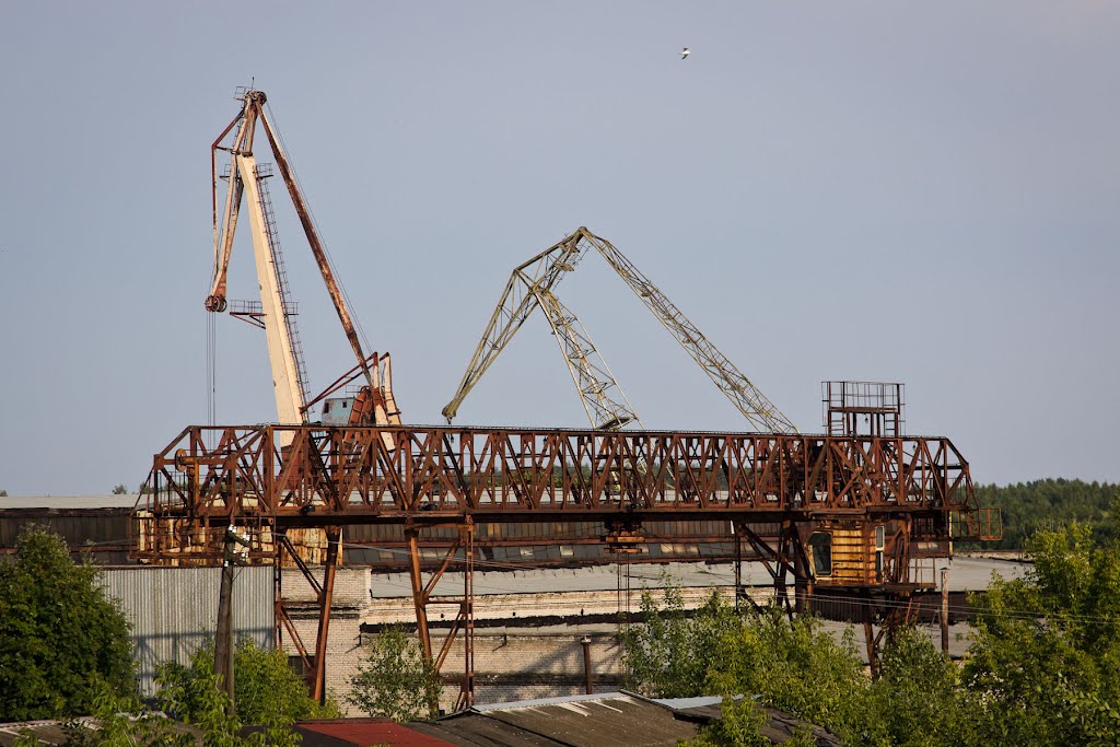 Краны (2012.07.10)