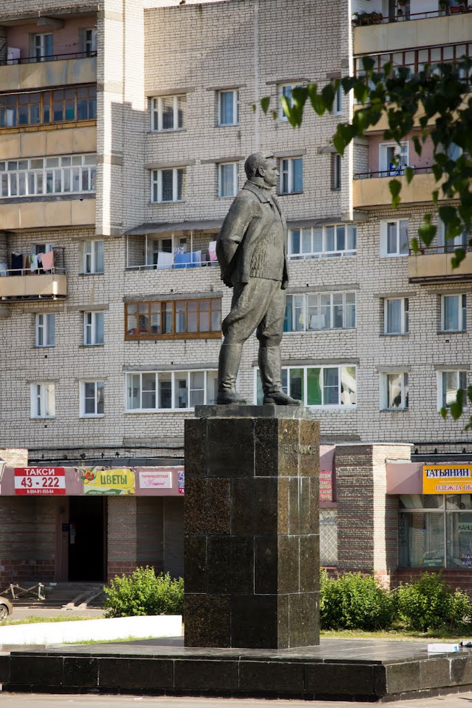 Памятник В.П.Чкалову (2012.07.01)