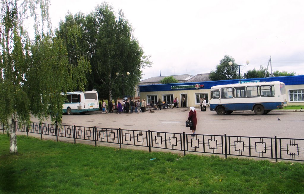 Шаранга. Автостанция