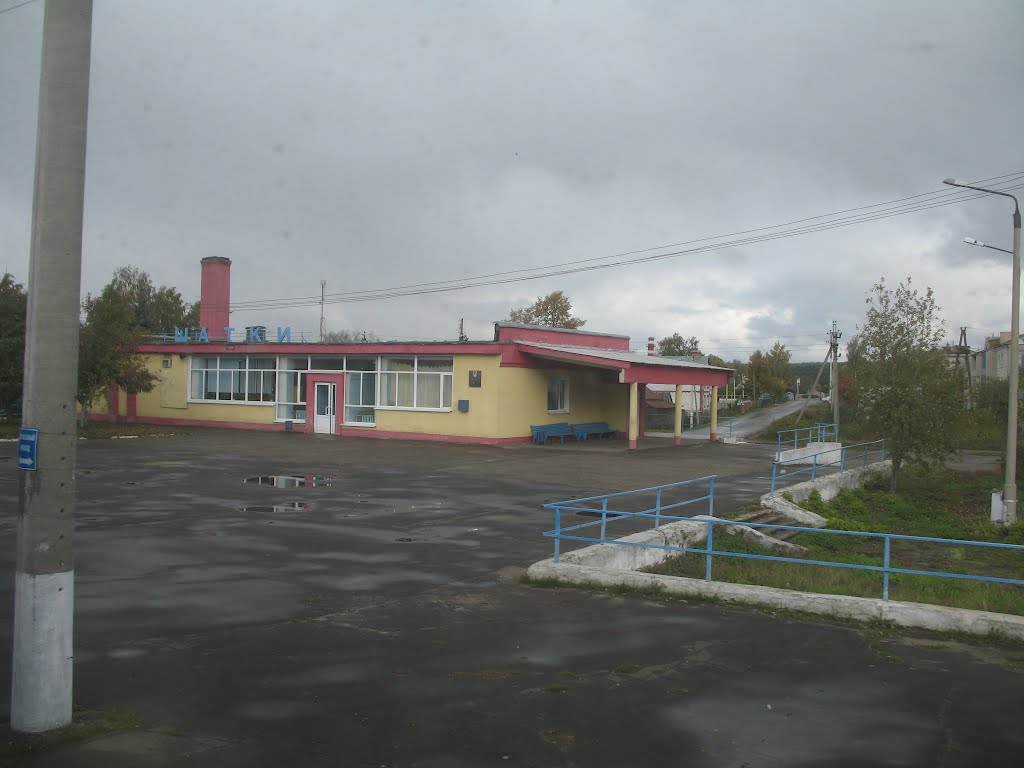 станция Шатки (вид из поезда)