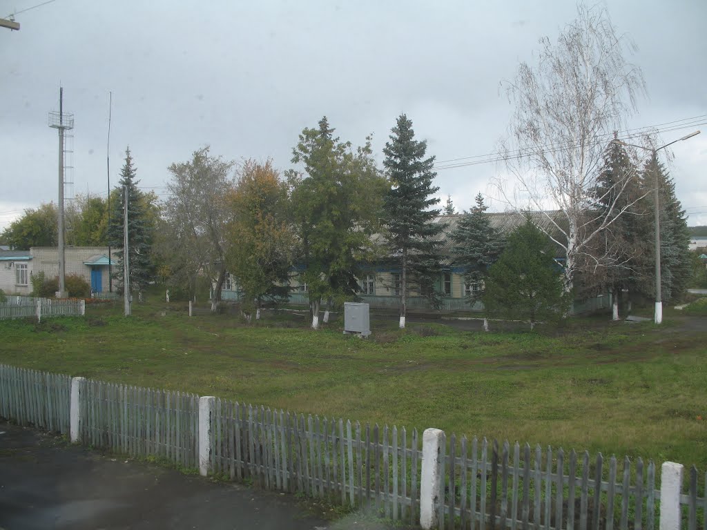 Шатки