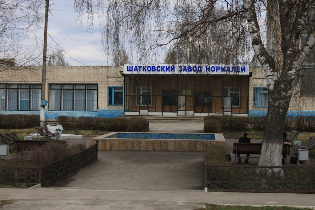 Plant Normal Shatki