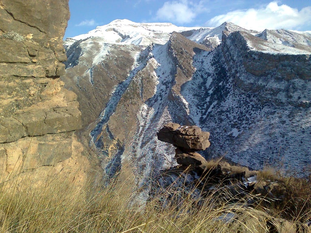 in the mount