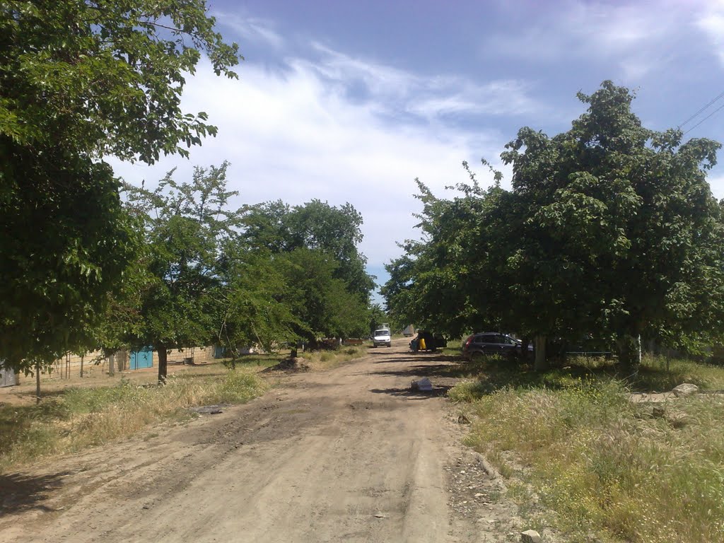 not good road :(