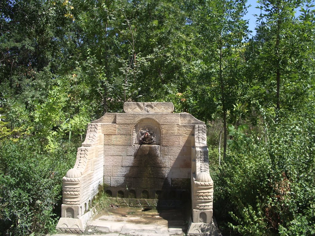 родник