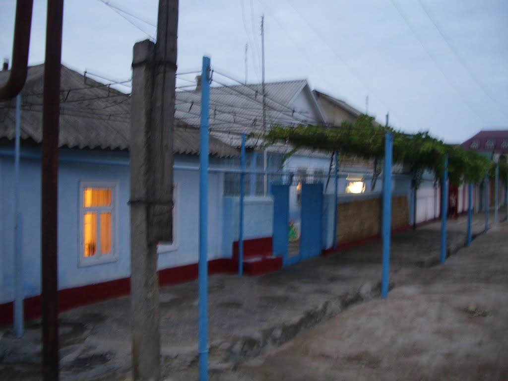the evening street