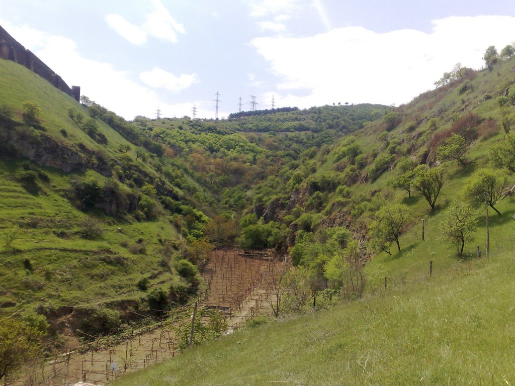Back of the Narin-Kala
