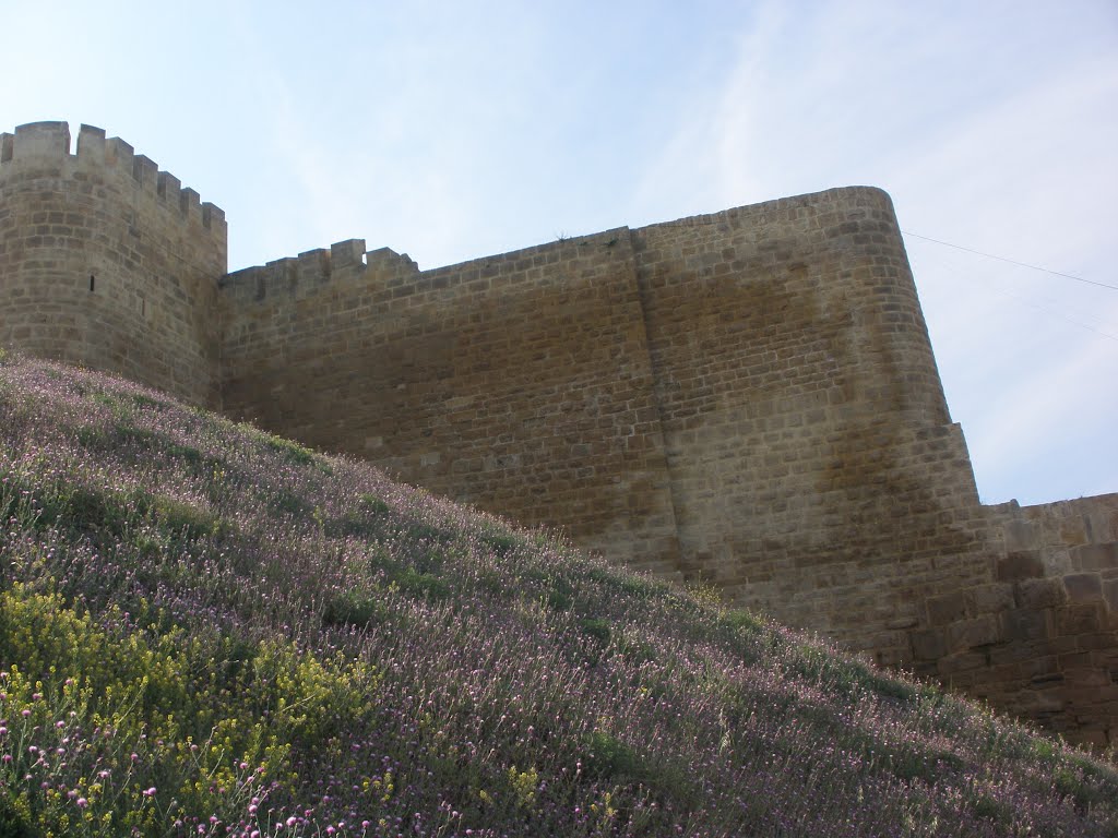Дербент, 30 апреля 2012 г. Нарын-кала.