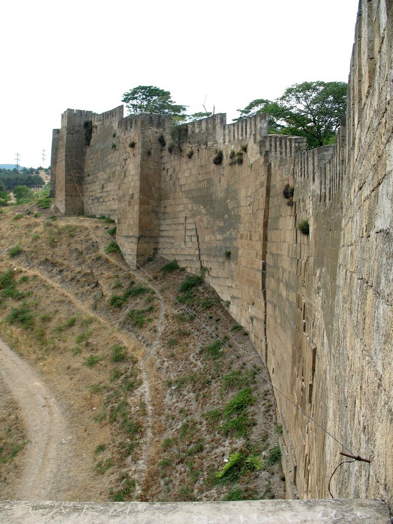 Южная стена