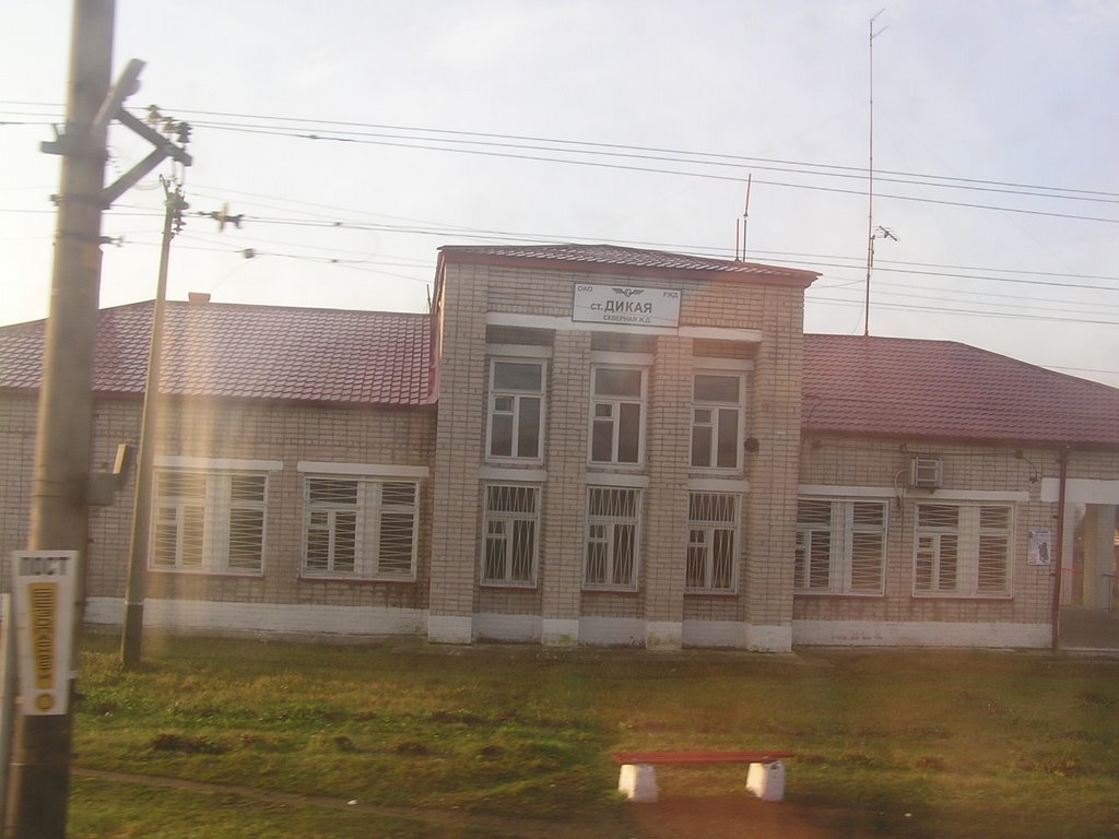 Станция Дикая
