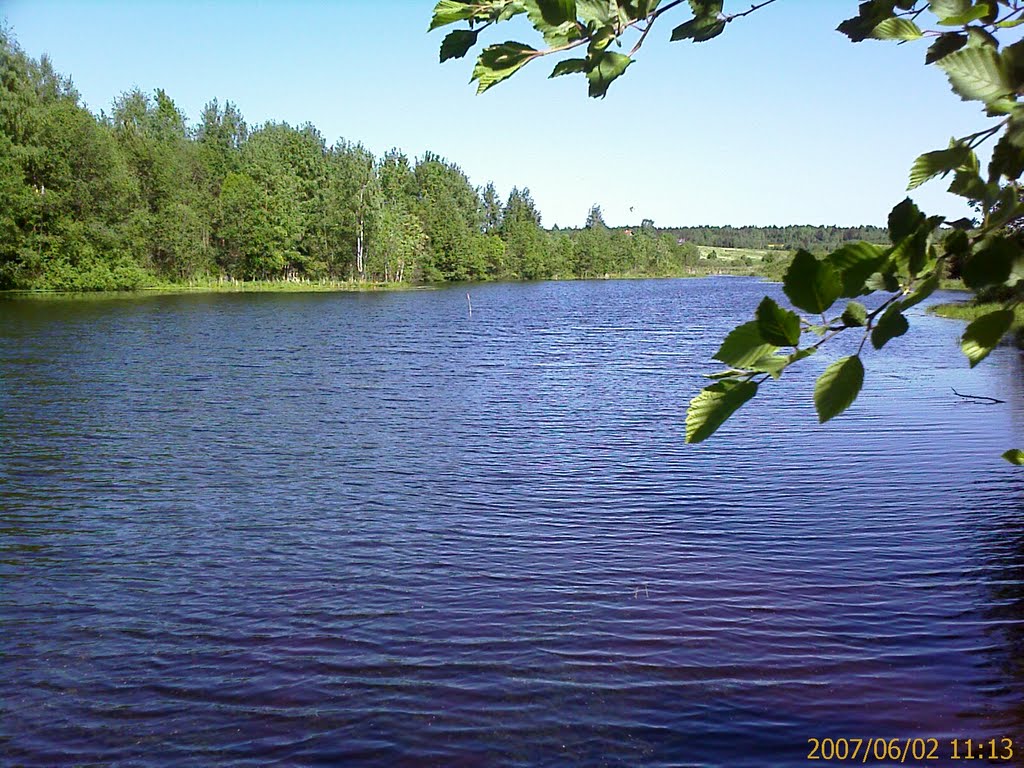 ОЗЕРО(ТОРФЯННИК)