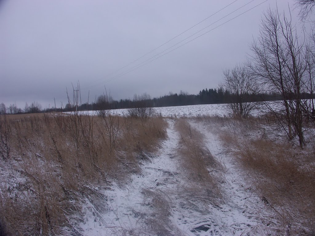 Зимняя грунтовка