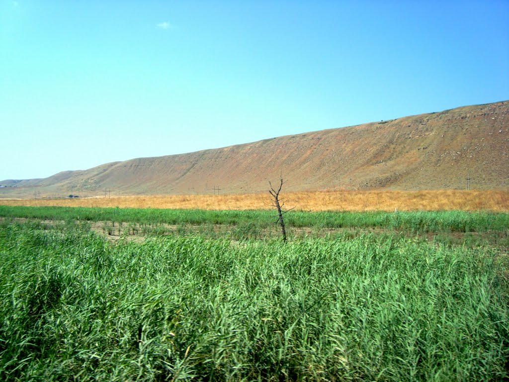 Каякентский район