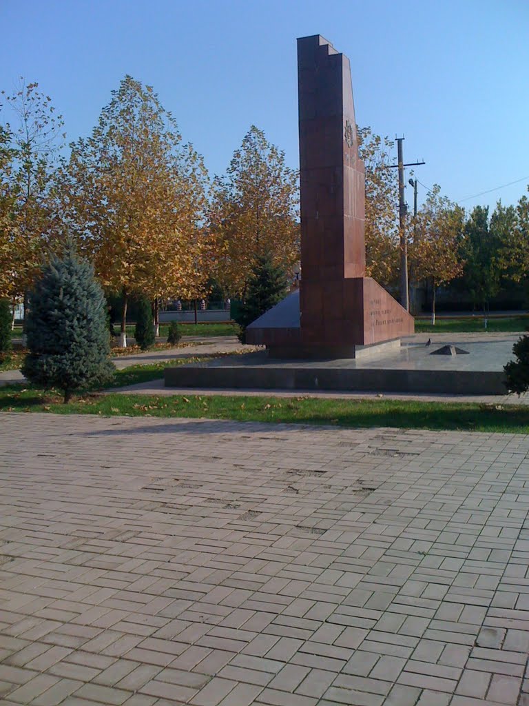 Лысый парк