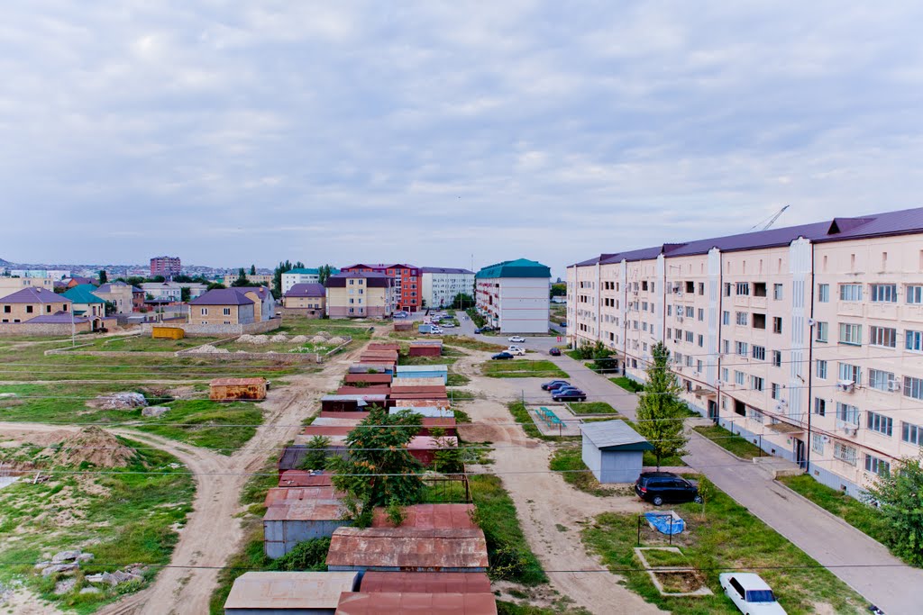 Polyana