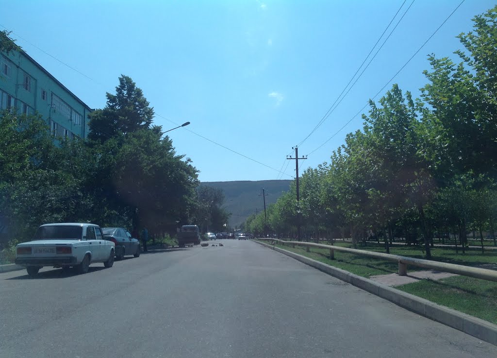ул пр Мира1