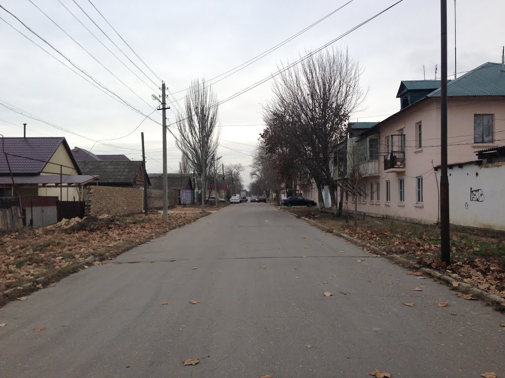 Калинина
