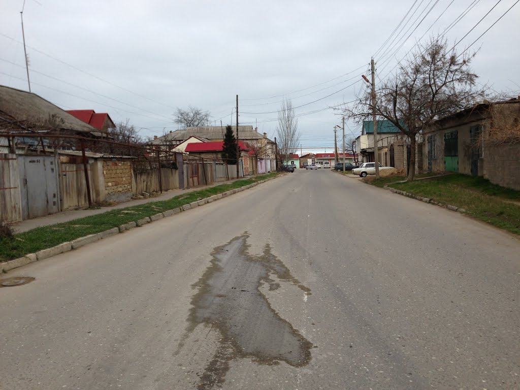 улица Мичурина