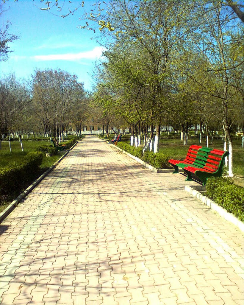 в парке