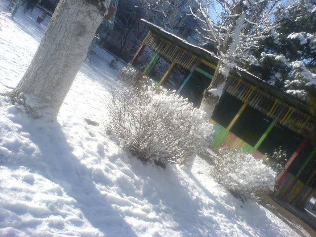 Детский сад № 15