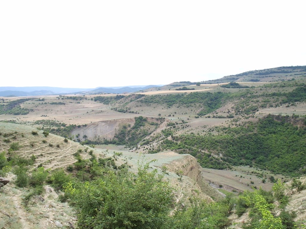 У реки