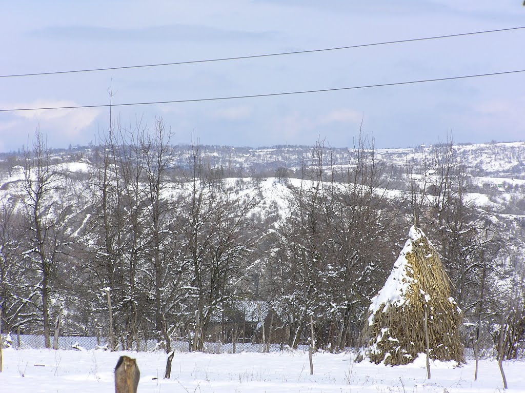 Caucasus