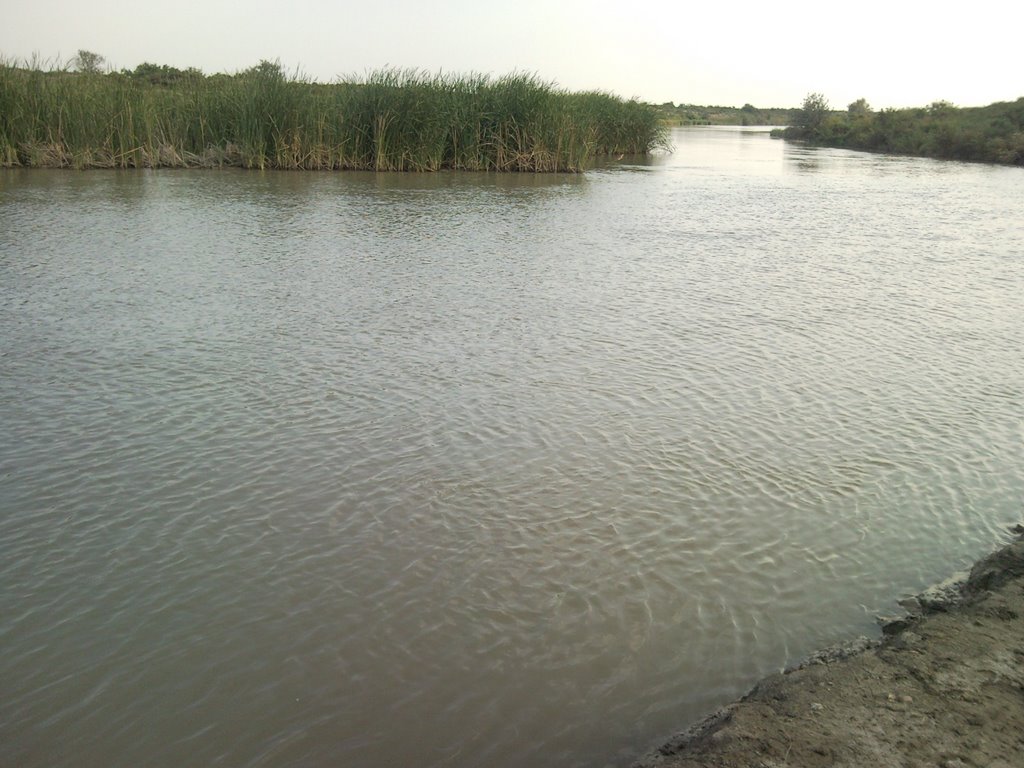 Kochubey