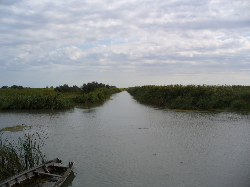 Тарумовский район, Республика Дагестан пристань село Коктюбей