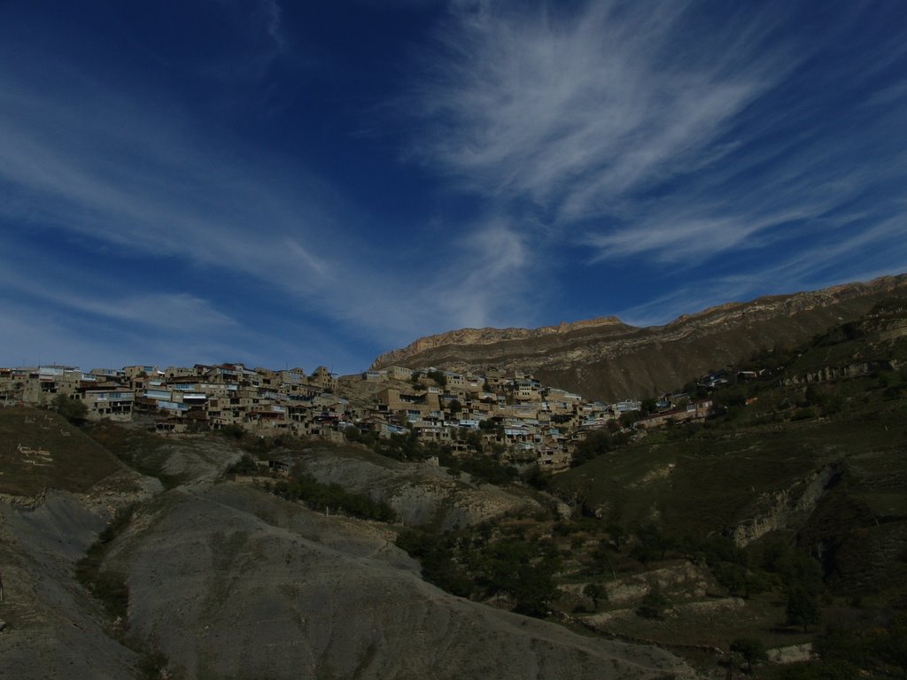 Chokh