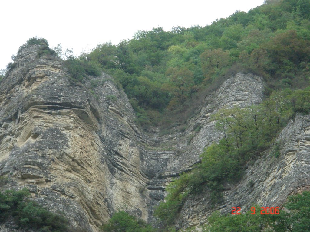 парк