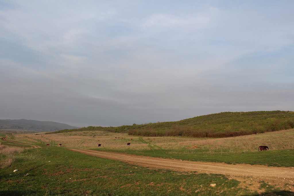 Khuchni