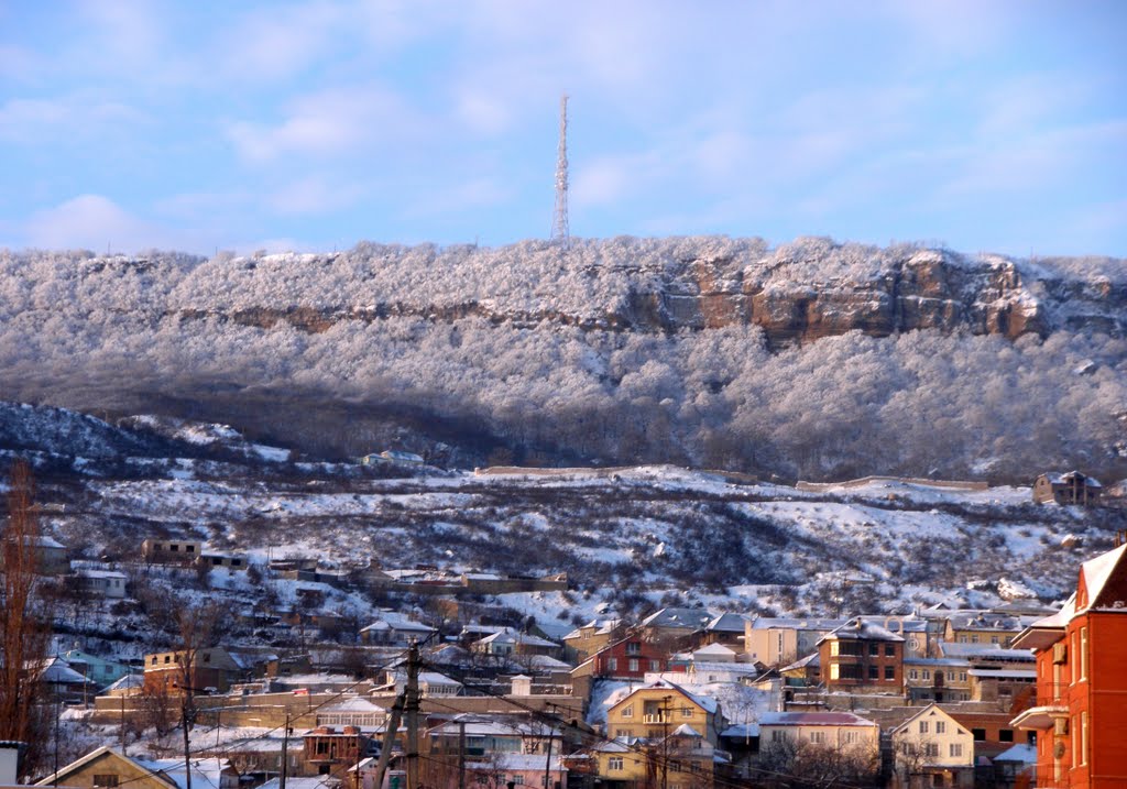 Тарки-тау 27 января 2012 г.