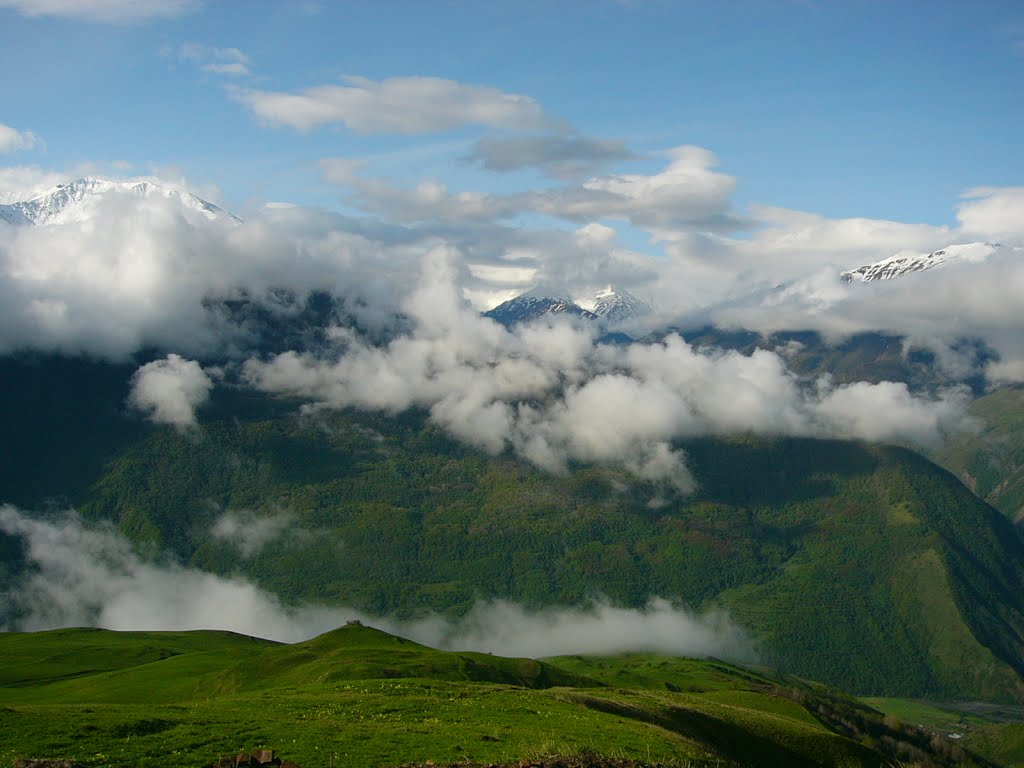 Caucasus
