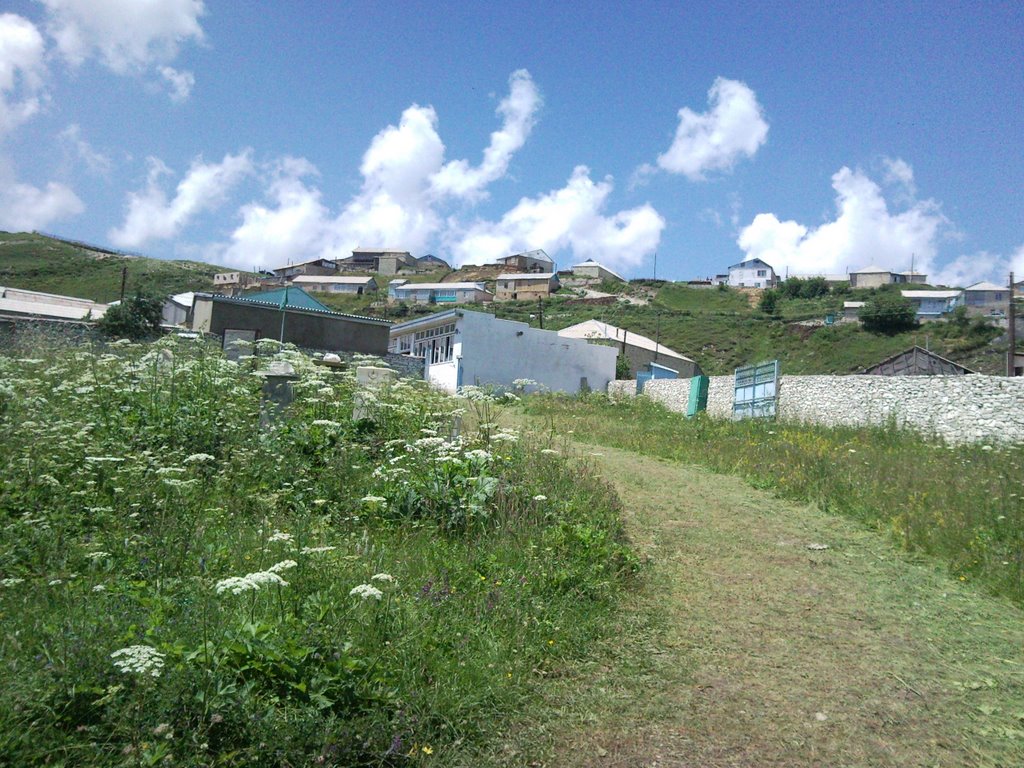 Cilitli