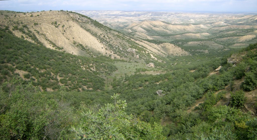 В окрестностях с.-х. им. Герейханова. In the vicinity of the village of Gereykhanovskiy.