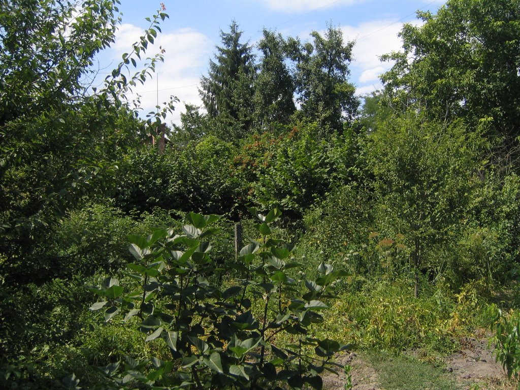 Ishcherskaya