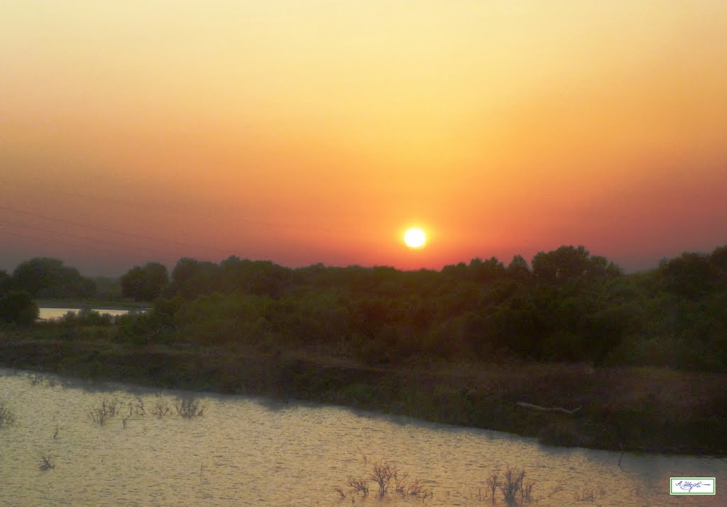 закат 28.07.2011