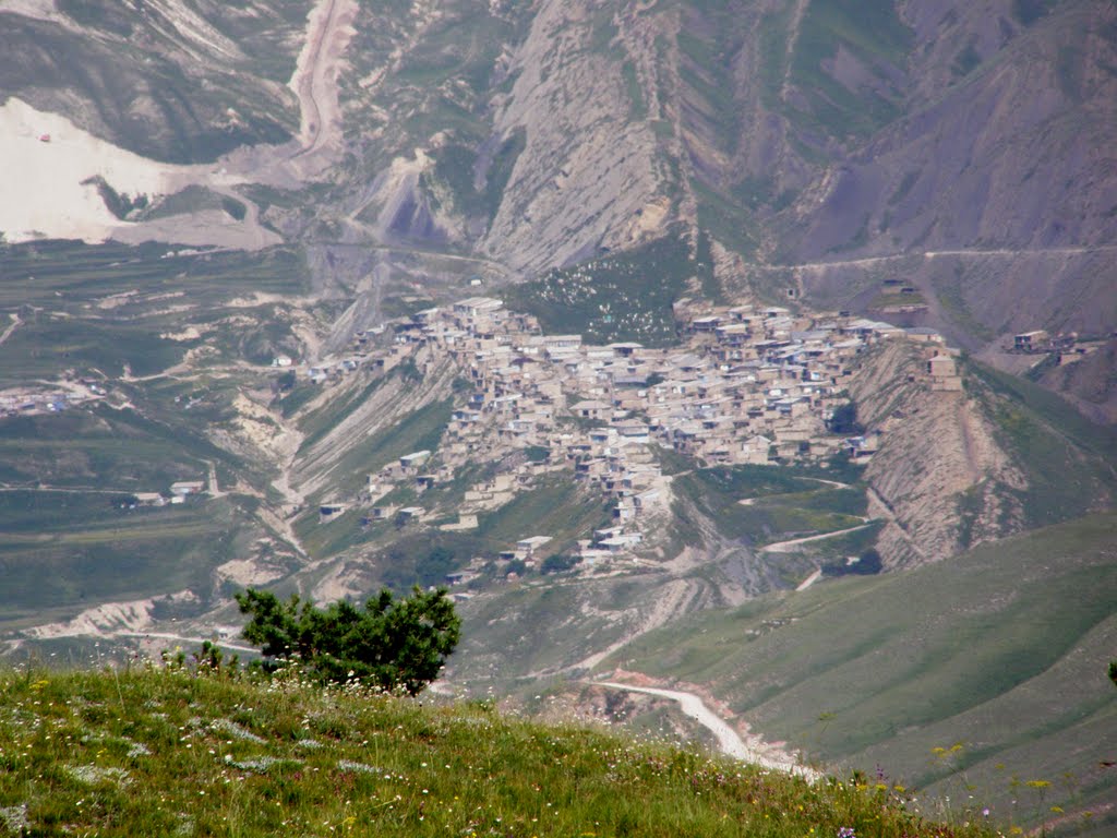 село Аргвани