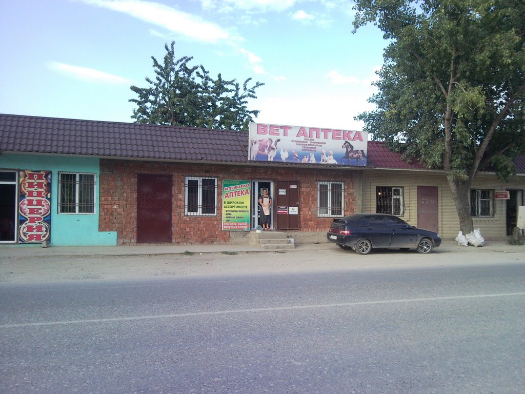 андийский