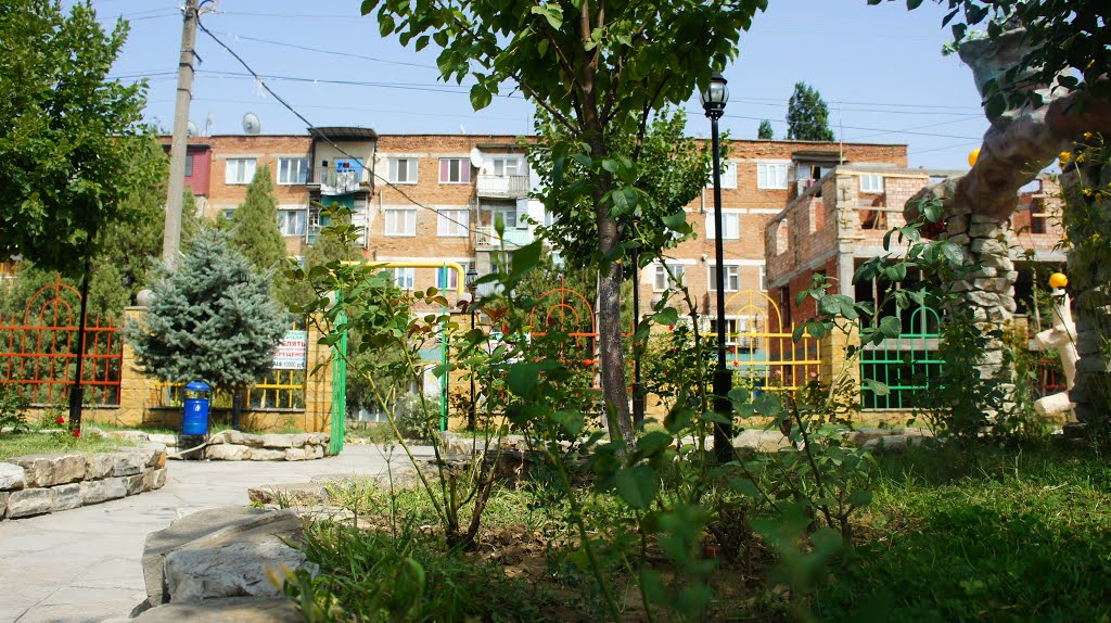 Vodnik
